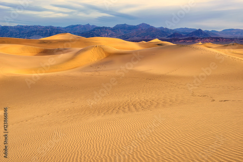 Sand dunes at sunrise in Death Valley  California
