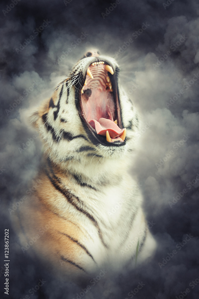 Obraz premium Tygrys w dymie