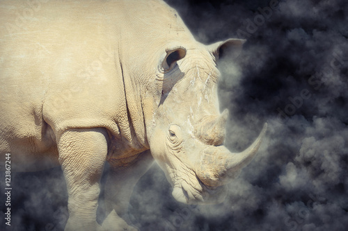 Fototapeta Naklejka Na Ścianę i Meble -  Rhino in smoke