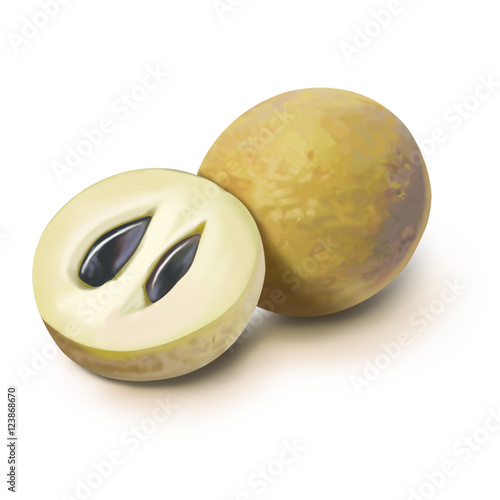 Chickoo/sapodilla