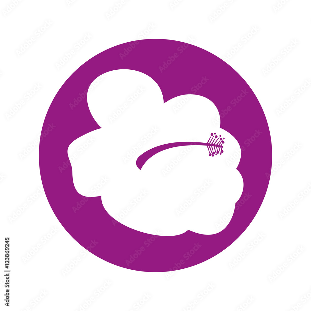 flower plant decoration isolated icon vector illustration design flower plant decoration isolated icon vector illustration design