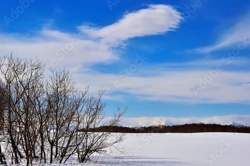Beautiful winter landscape. W