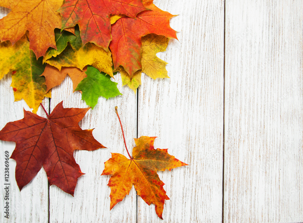 Colorful autumn leaves