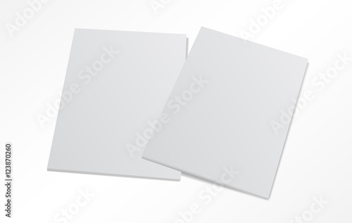 Couple blank magazine covers isolated on white © mileswork