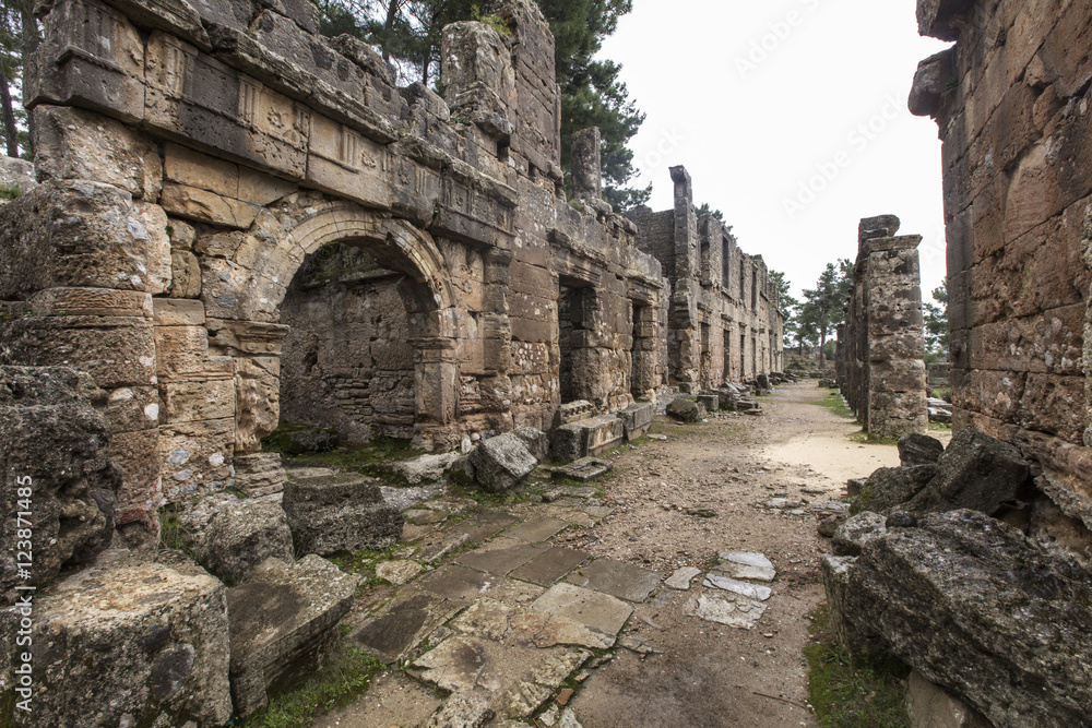 The ancient ruins of Seleucia The ancient ruins of Seleucia