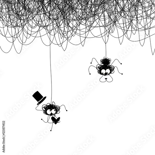 a pair of lovers of spiders on the web.