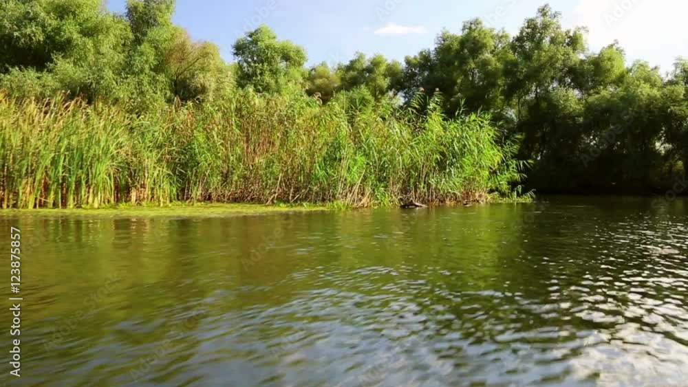 Danube delta wetlands in motion Danube delta wetlands in motion