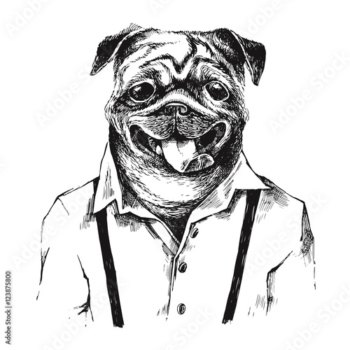 Hand drawn dressed up pug in hipster style