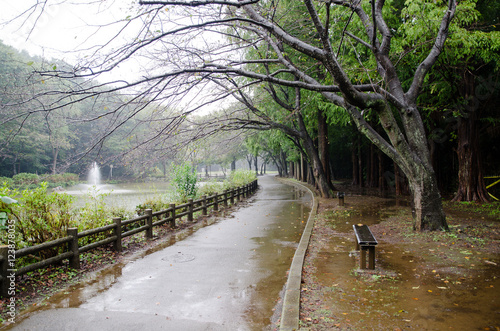 雨の日の遊歩道