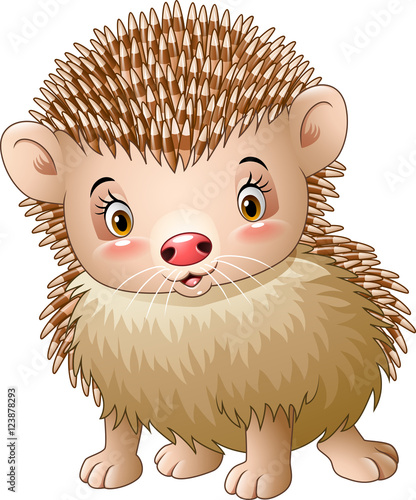 Cute baby hedgehog