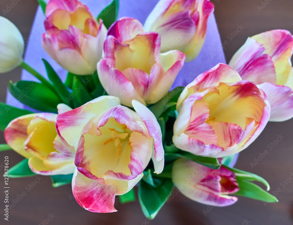 tulips flowers bouquet on wooden background