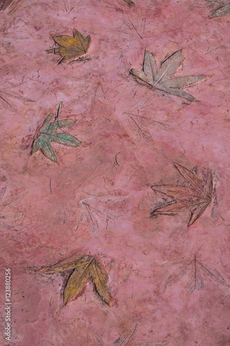 Leaves picture colorful on red cement wall