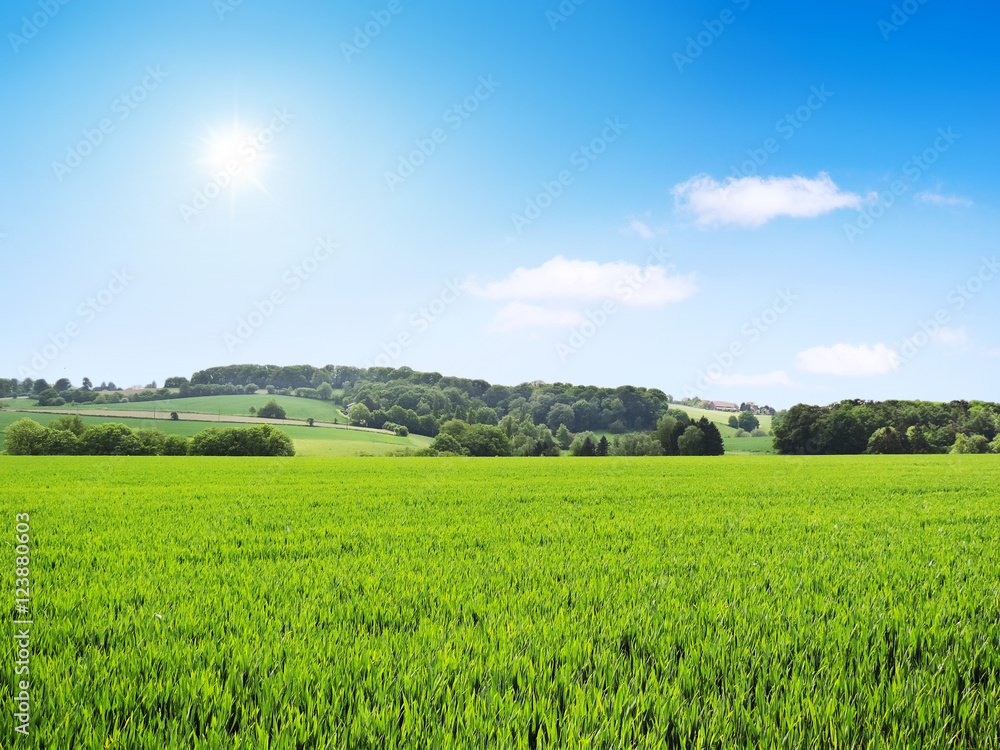 Idyllic landscape with crop field and bright sun. Agriculture landscape with sunbeam and blue sky. Idyllic landscape with crop field and bright sun. Agriculture landscape with sunbeam and blue sky.