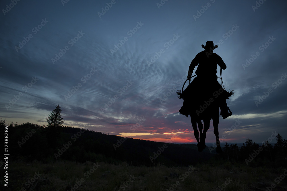 Cowboy on a horse