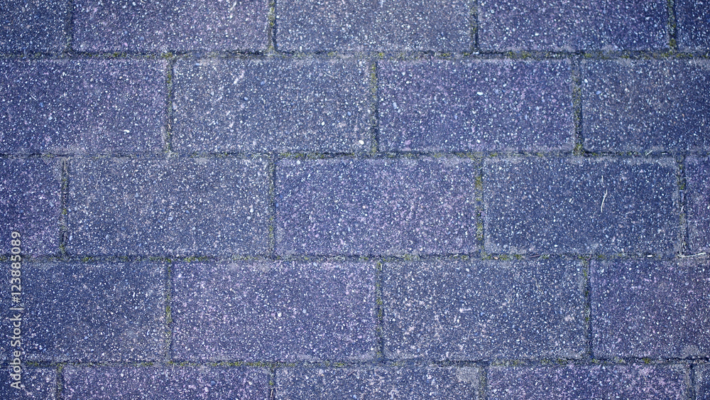 Obraz premium レンガ状の床