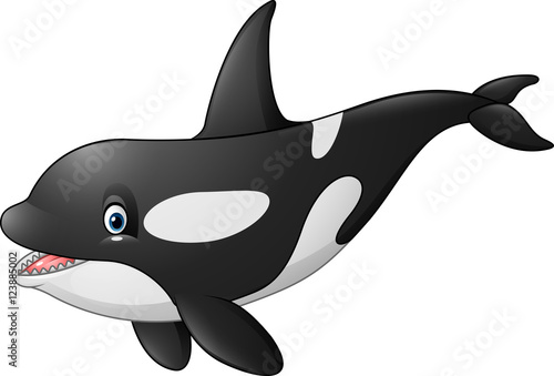 Cute orca isolated on white background

