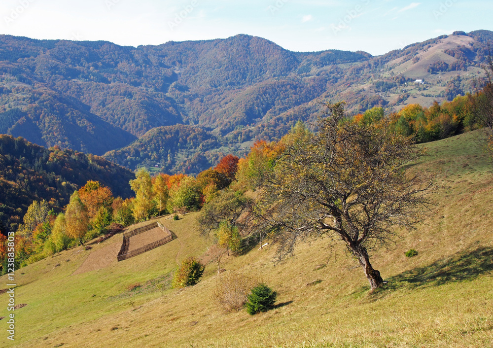 Obraz premium Typical view of the Ukrainian Carpathians in the middle of October, the neighborhood of the city of Rakhov