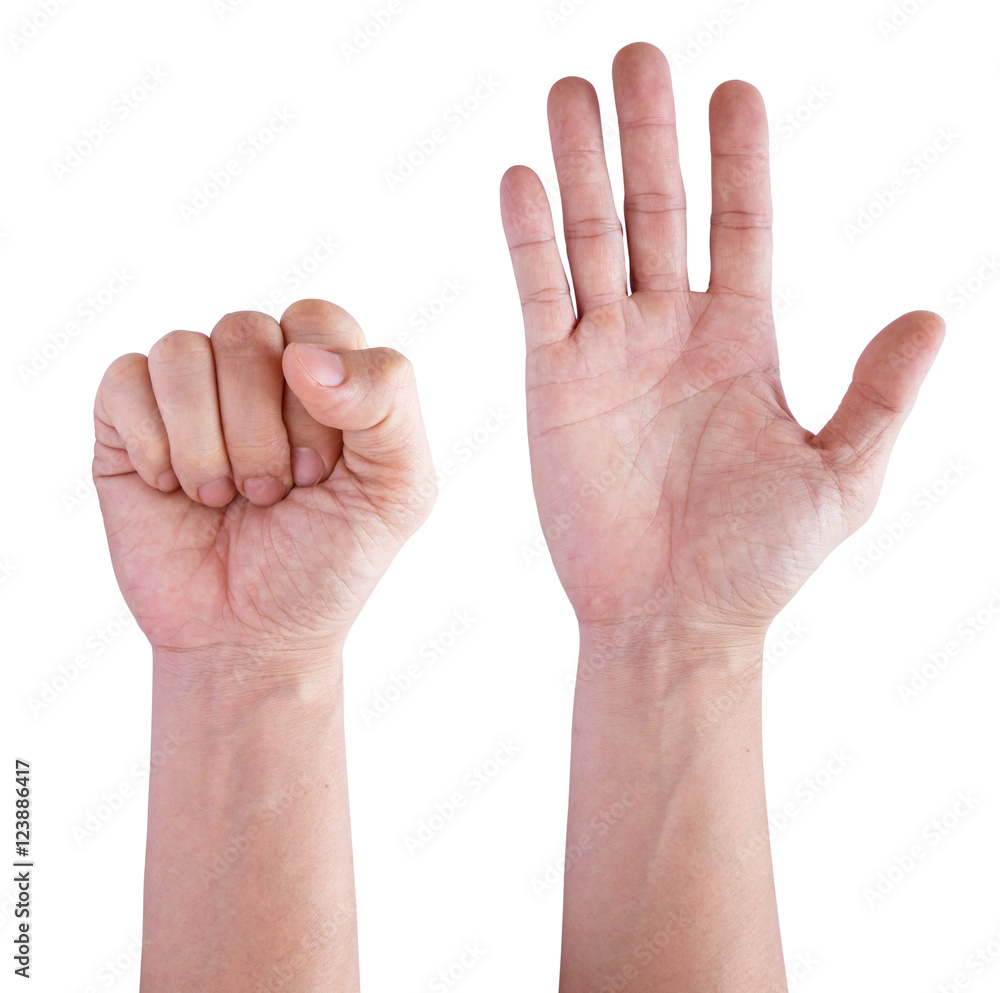Collage of man hands isolated on white backgrounds Collage of man hands isolated on white backgrounds