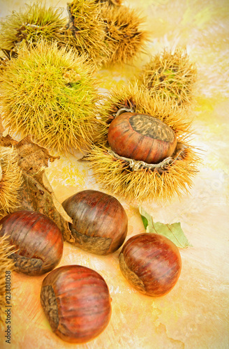 Autumnal still life with fresh chestnuts closeup