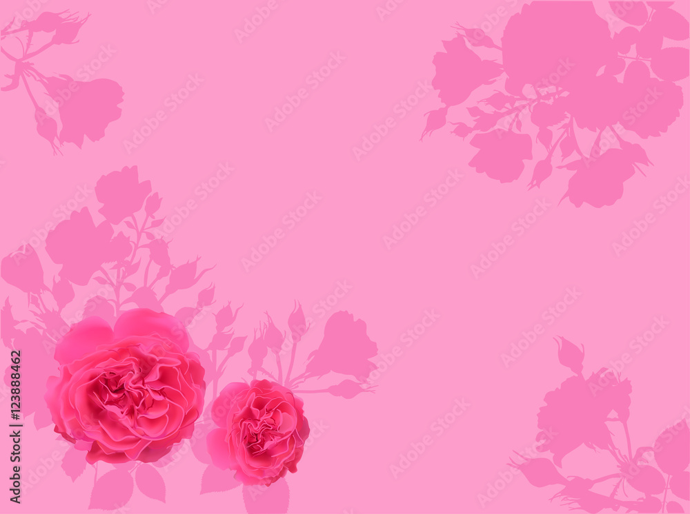 pink rose flowers and silhouettes illustration pink rose flowers and silhouettes illustration