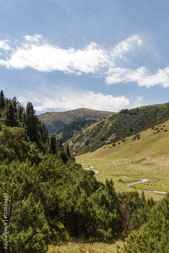 with a stream valley with a stream valley