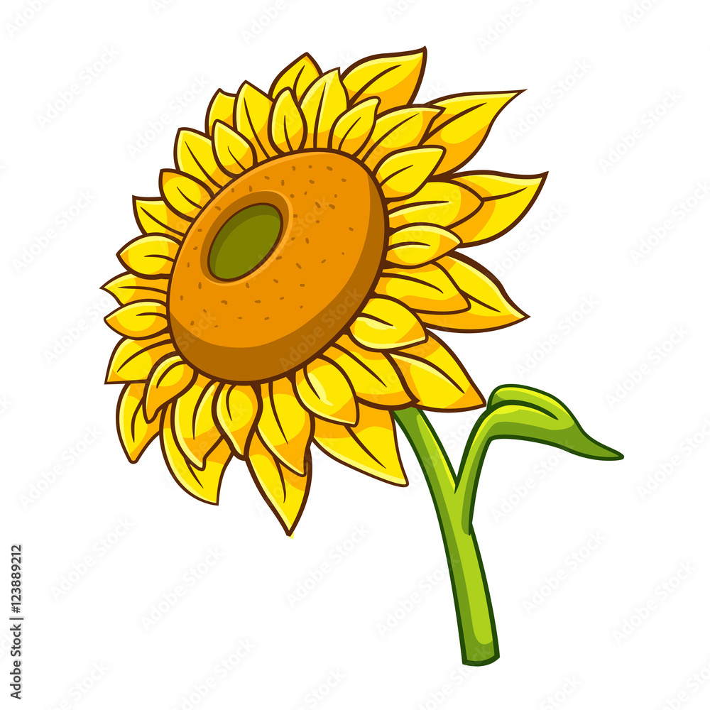 Obraz premium Sunflower cartoon style