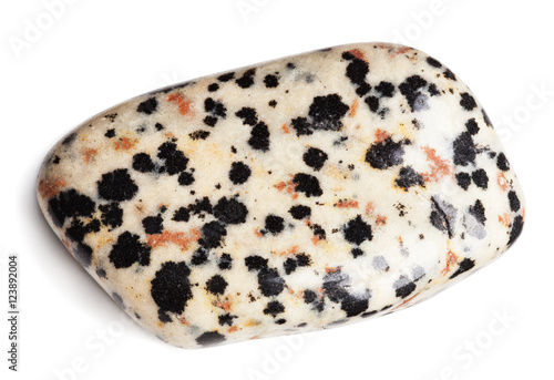 Dalmatian jasper stone isolated on white with clipping path photo