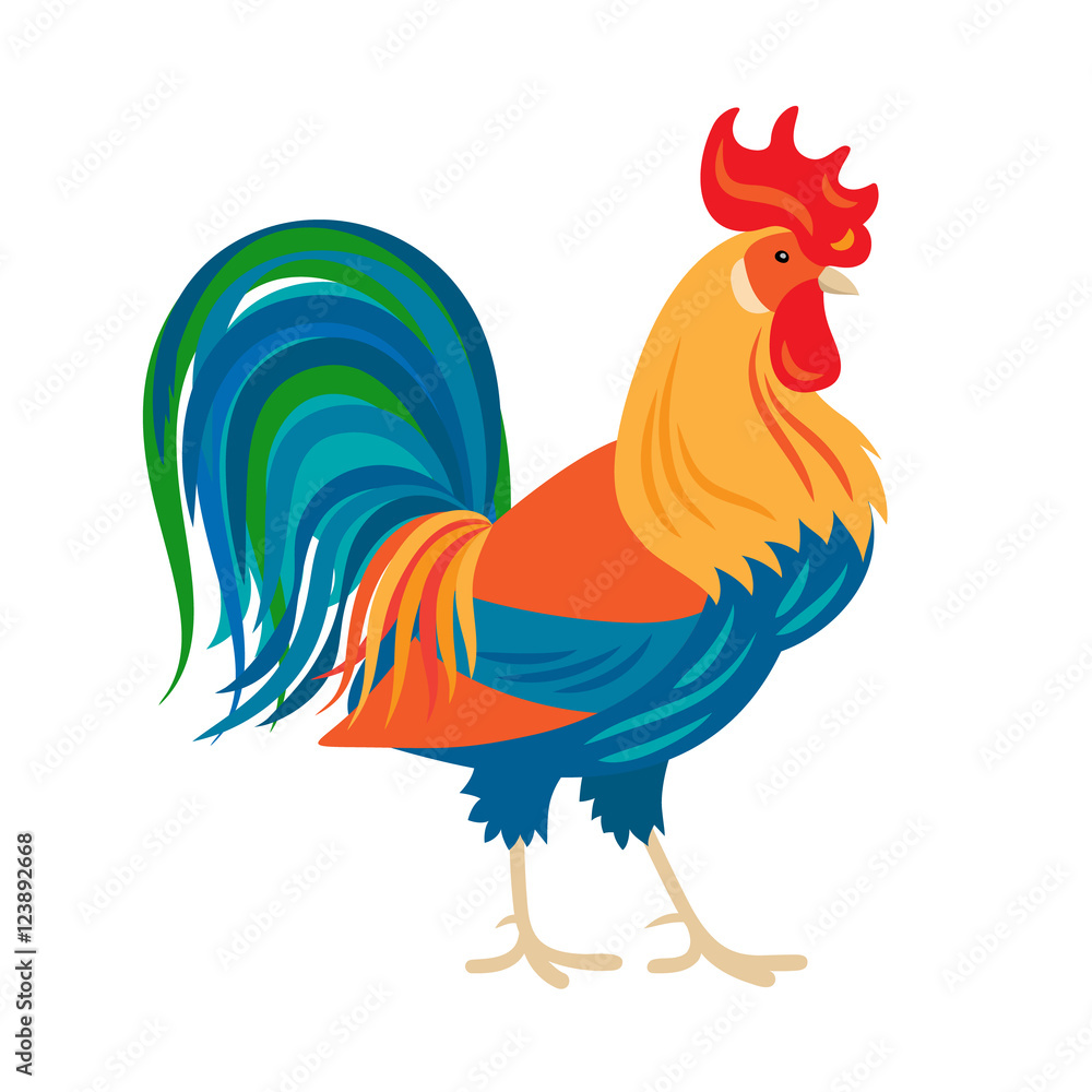 Rooster vector illustration. Stylized colorfull rooster isolated on white background