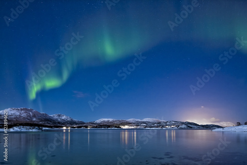 Northern lights  Aurora Borealis at Lofoten  Norway