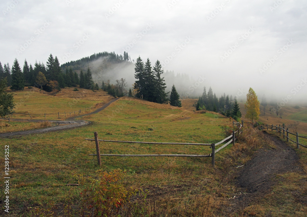 Obraz premium Foggy autumn morning in the Ukrainian Carpathians