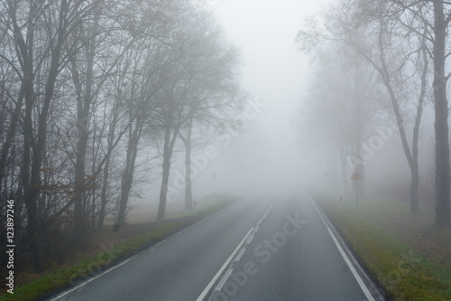 Road in foggy autumn morning