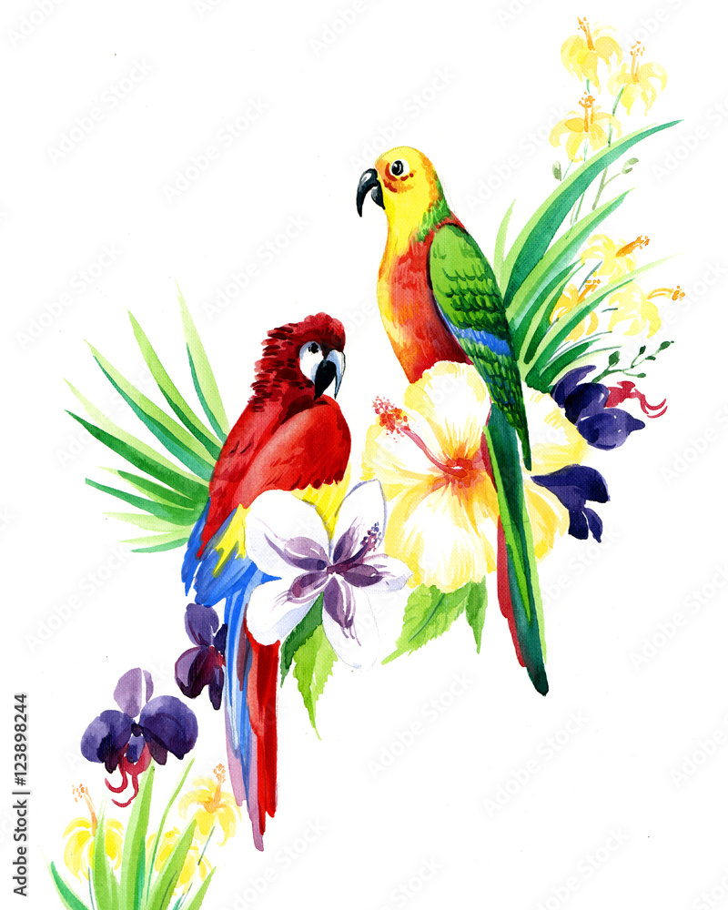 the birds on the branch of flowers watercolor made by hand drawn isolated on the white background the birds on the branch of flowers watercolor made by hand drawn isolated on the white background