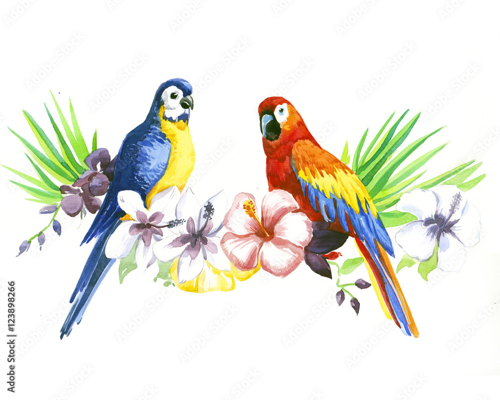 the birds on the branch of flowers watercolor made by hand drawn isolated on the white background