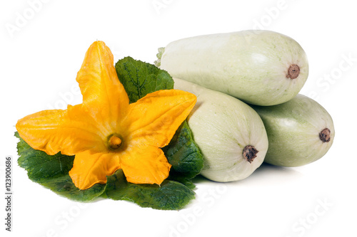 three zucchini with flower and leaf isolated on white background