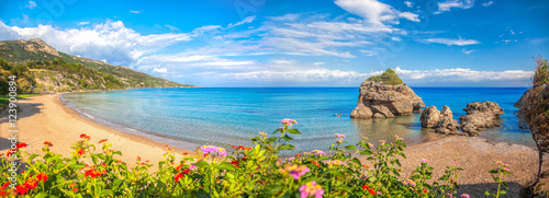 Panorama of Porto Zorro beach against colorful flowers on Zakynthos island, Greece