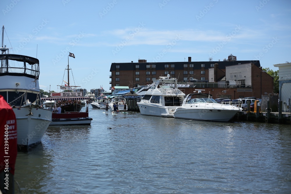 Fototapeta premium Washington DC