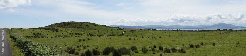 Obraz premium Landschaft auf Rathlin Island / Nordirland