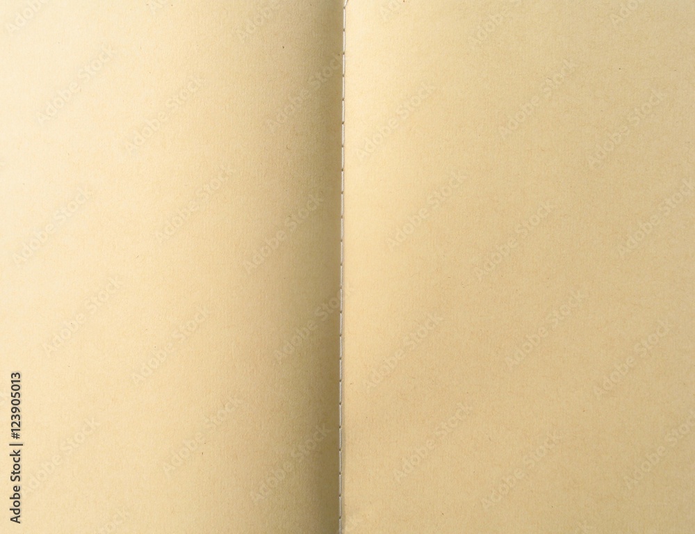 Blank Brown Paper Notebook Blank Brown Paper Notebook