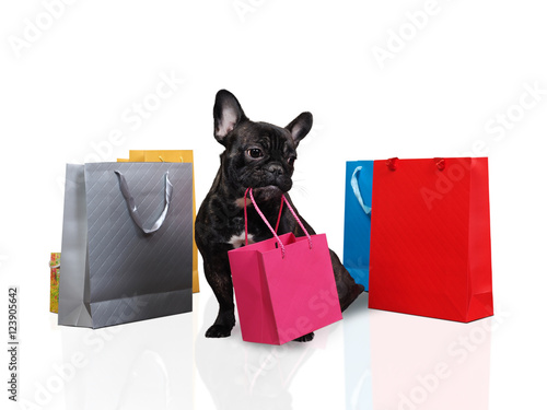 Fototapeta Naklejka Na Ścianę i Meble -  Cute dog holding in teeth a bag for purchases. Many multi-colored bags around the dog. White background. The concept of the sale, purchase, pet products