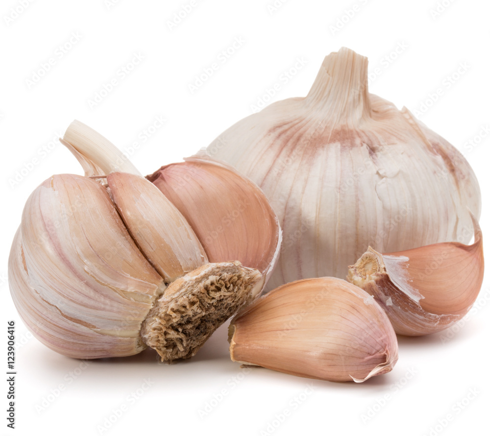 Obraz premium Garlic bulb isolated on white background cutout
