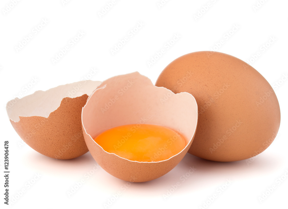 Broken egg in eggshell half and raw egg isolated on white backgr Broken egg in eggshell half and raw egg isolated on white backgr