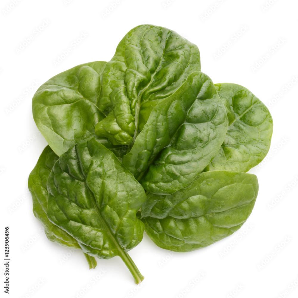 Baby spinach leaves isolated on white background cutout Baby spinach leaves isolated on white background cutout
