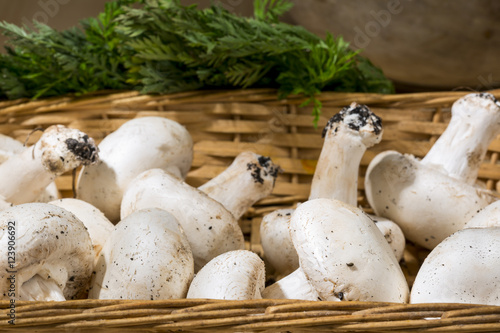 Photos Raw mushrooms into a wicker basket. Organic food
