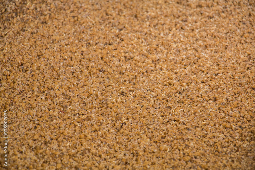 Malt Malt