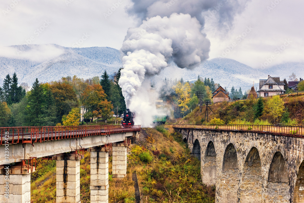 Fototapeta premium Old steam train passing over railway viaduct in Carpathian mountains, colorful countryside landscape