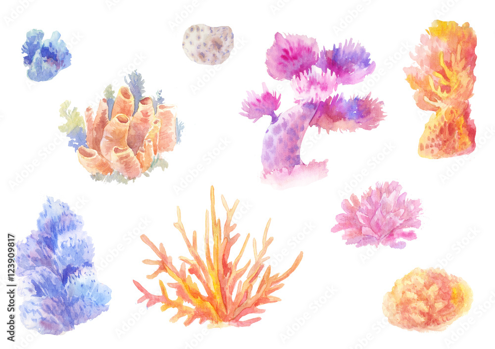 Obraz Rafa koralowa w akwareli. Zestaw ręcznie rysowane wodorosty