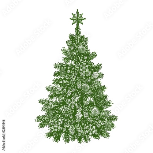 Christmas tree  detailed vintage vector illustration