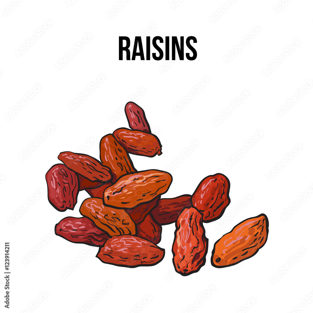 Pile of dried raisins, sketch style vector illustration isolated on