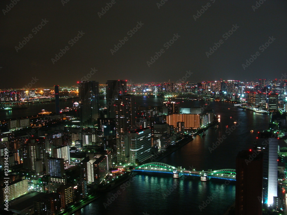 Fototapeta premium Nocna panorama miasta Tokio z drapaczami chmur i zatoki tokijskiej