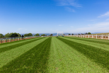 Race Horse Training Track 